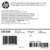 Polypropylène Glacé Adhésif HP - 0,914 x 22,90 m - 180g